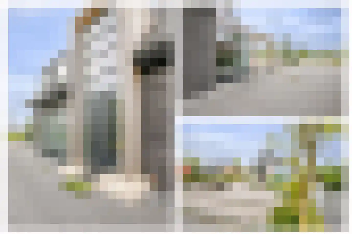Achterbroek 26 a Berkenwoude thumbnail 8