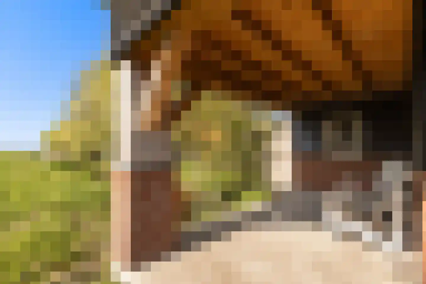 Achterbroek 3 Berkenwoude thumbnail 10