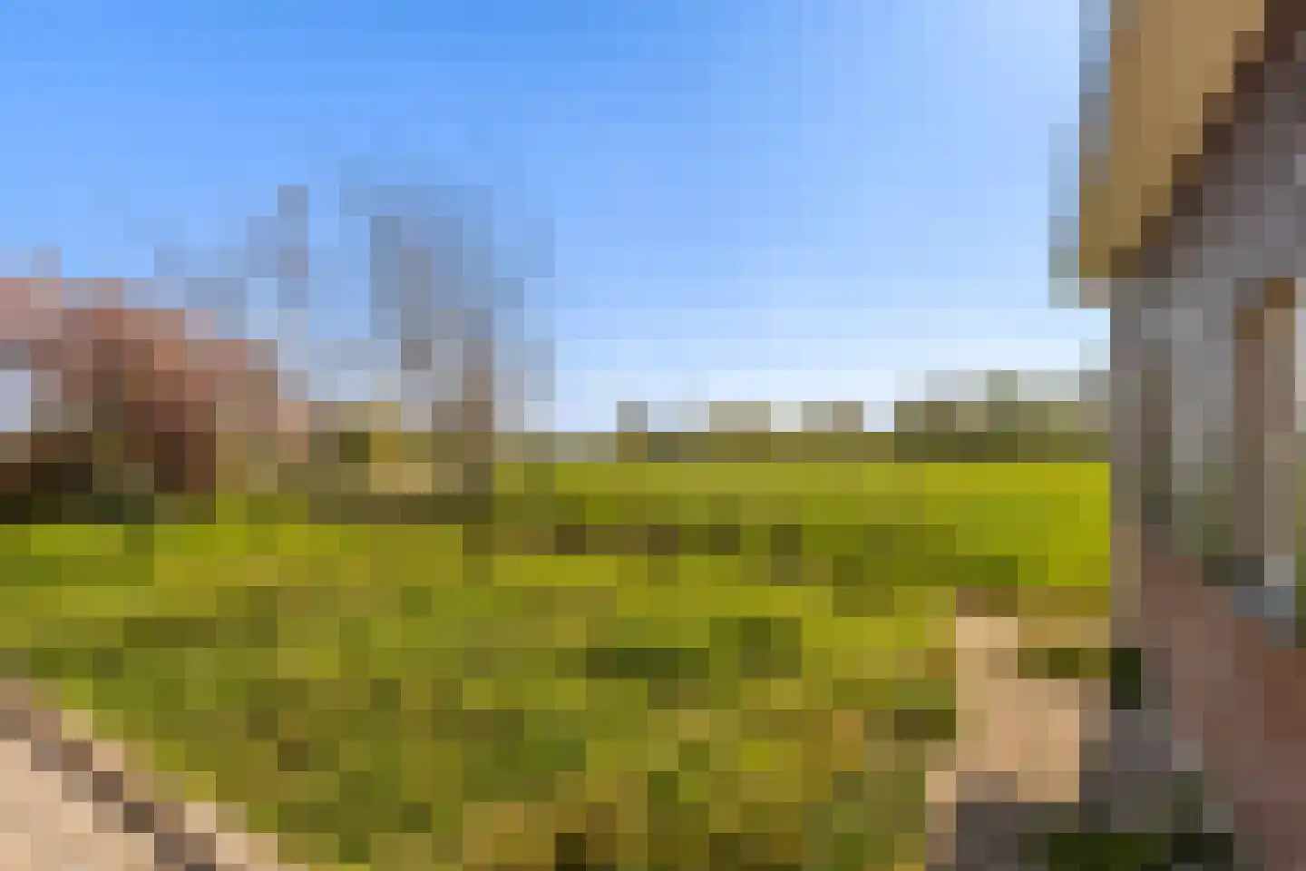 Achterbroek 3 Berkenwoude thumbnail 11