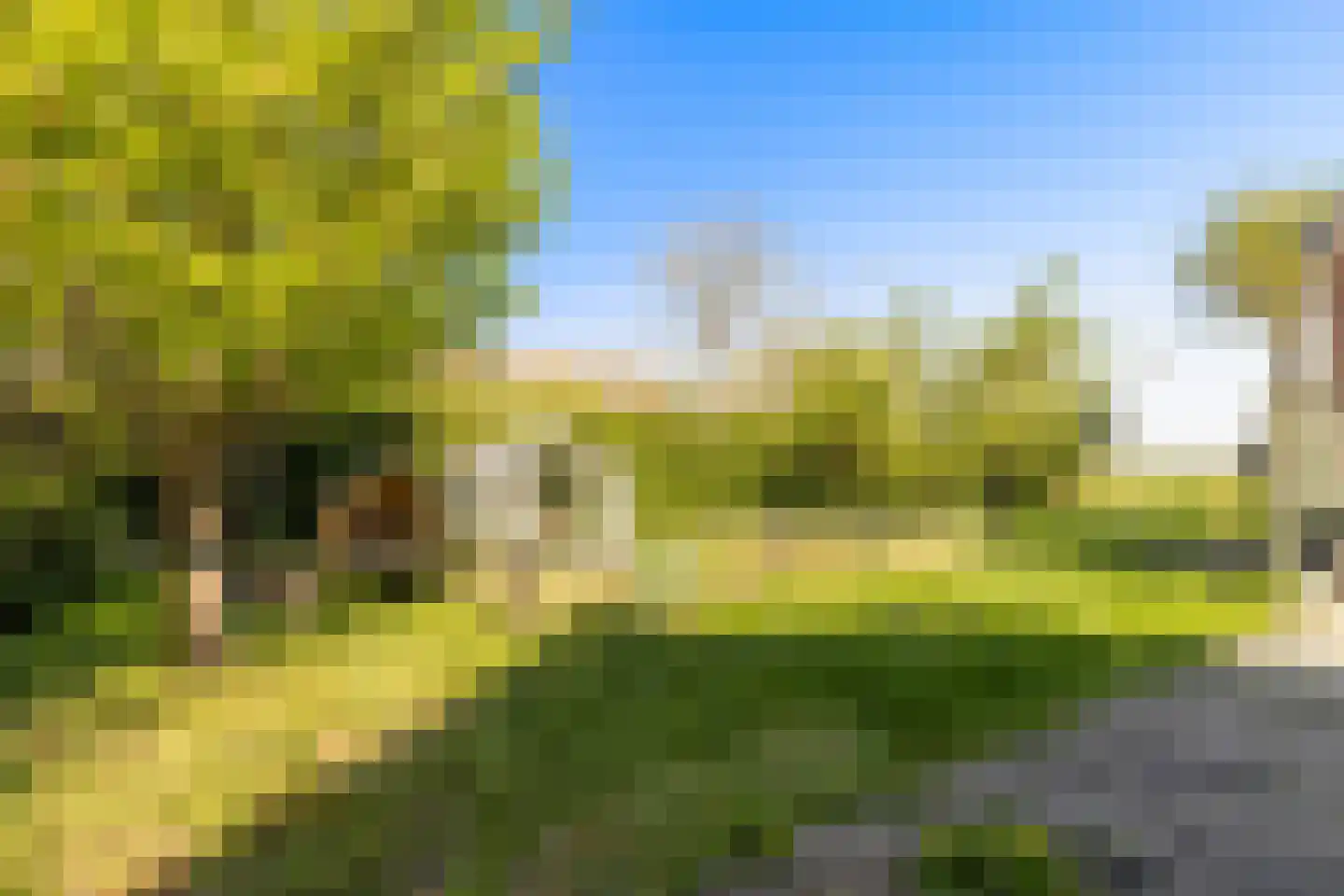 Achterbroek 3 Berkenwoude thumbnail 12