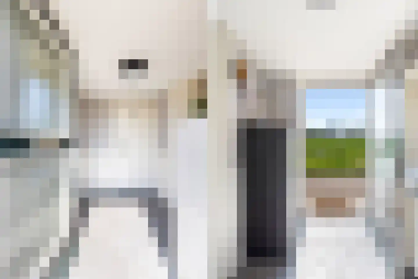 Achterbroek 3 Berkenwoude thumbnail 14