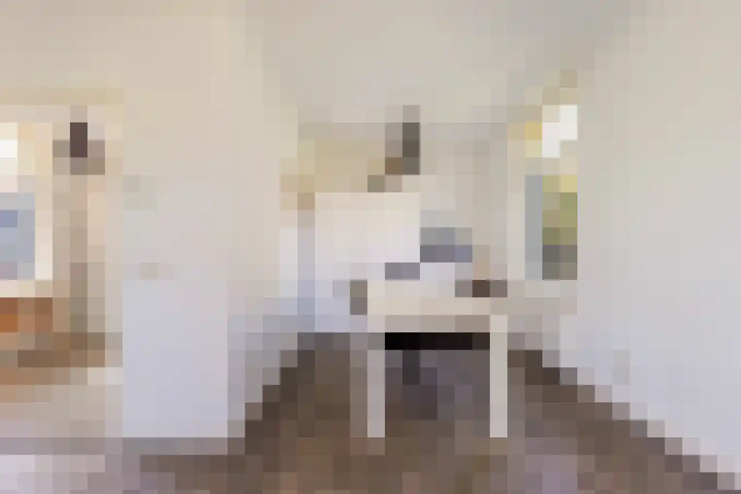 Achterbroek 3 Berkenwoude thumbnail 18