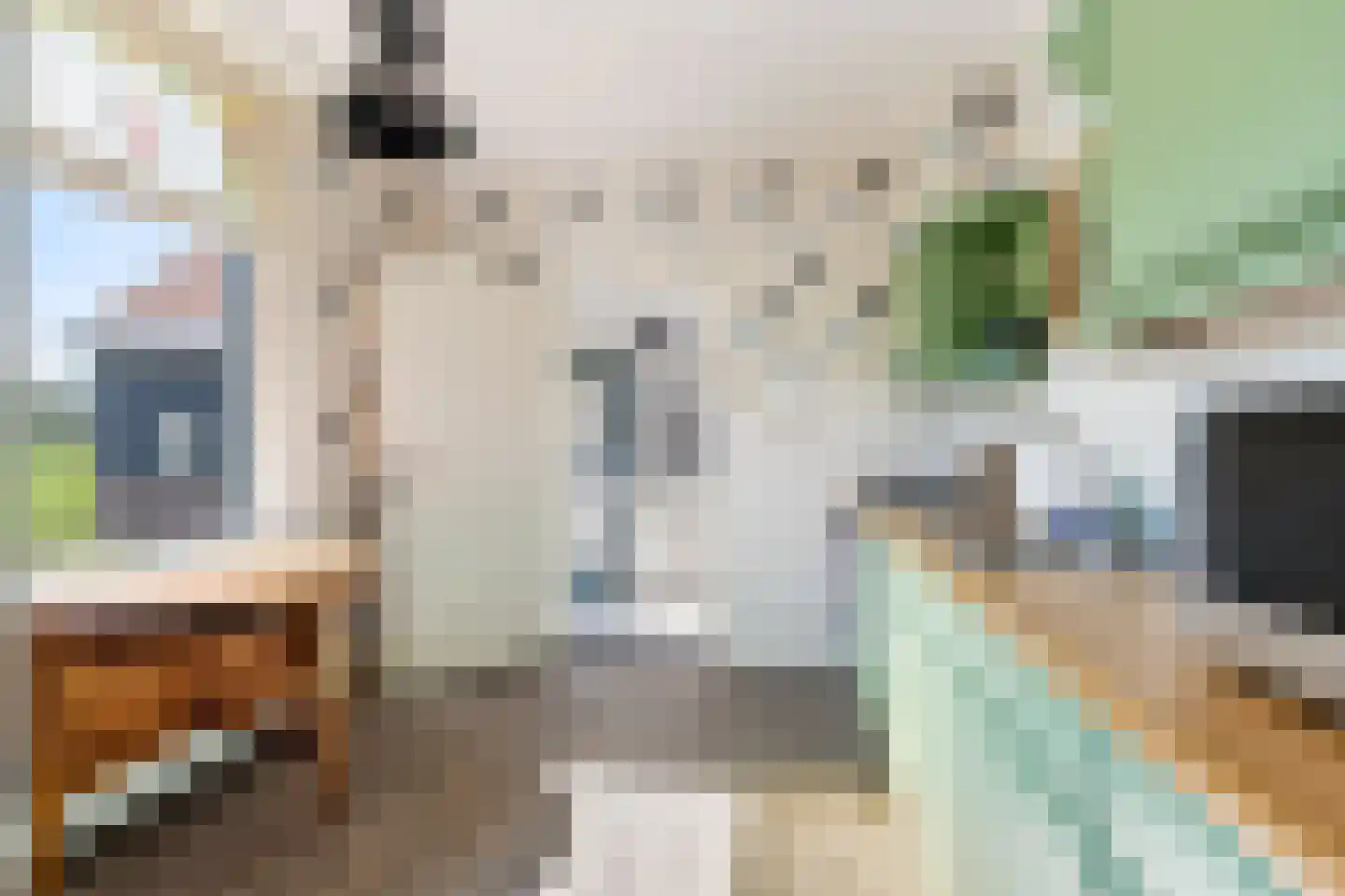 Achterbroek 3 Berkenwoude thumbnail 21