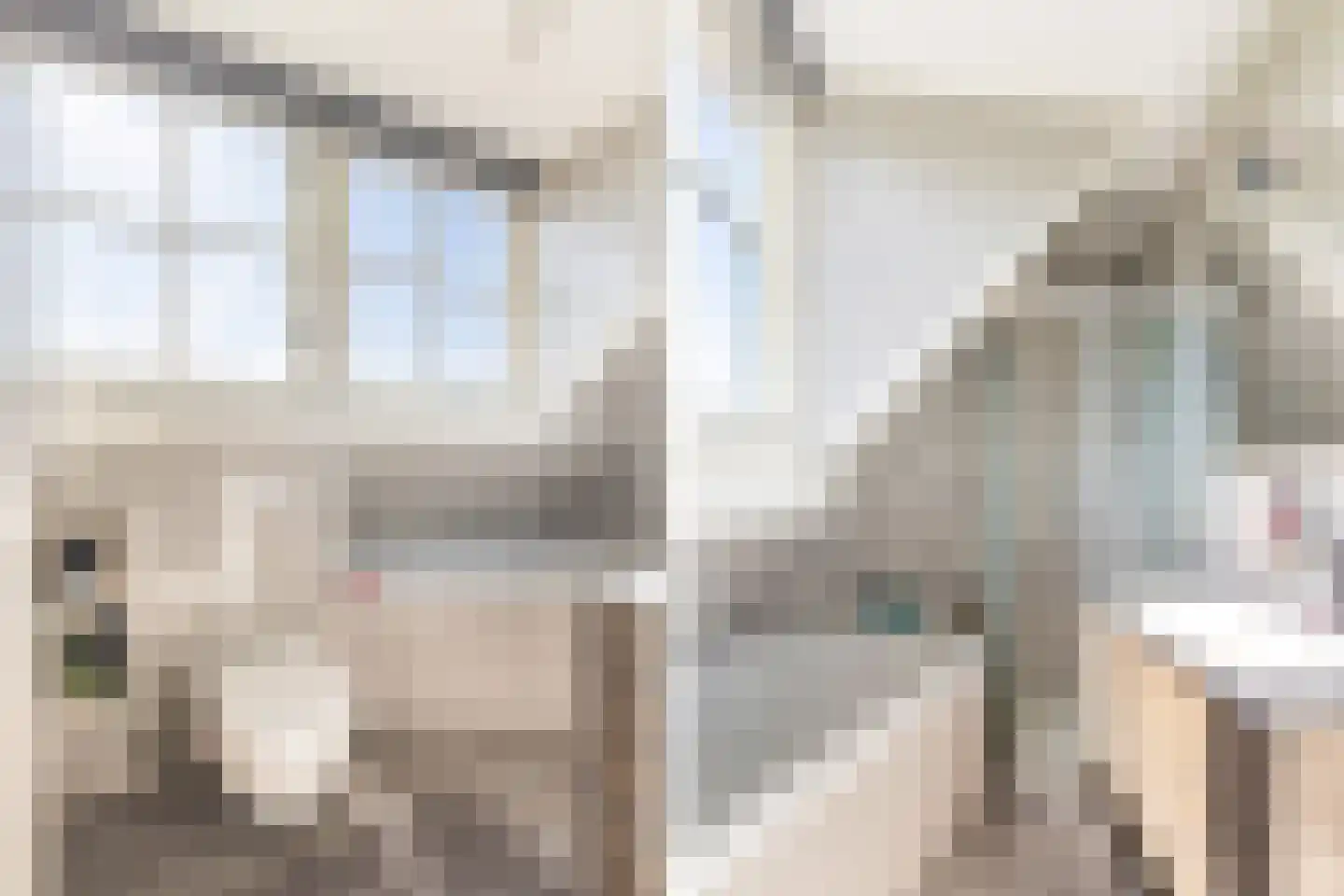 Achterbroek 3 Berkenwoude thumbnail 26