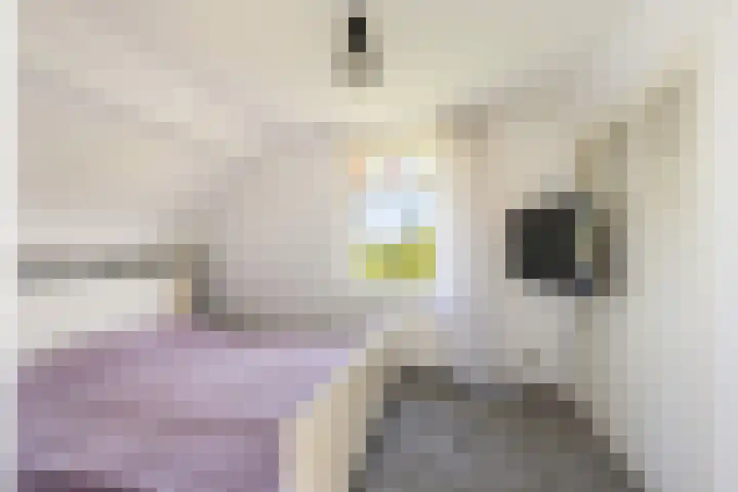 Achterbroek 3 Berkenwoude thumbnail 30