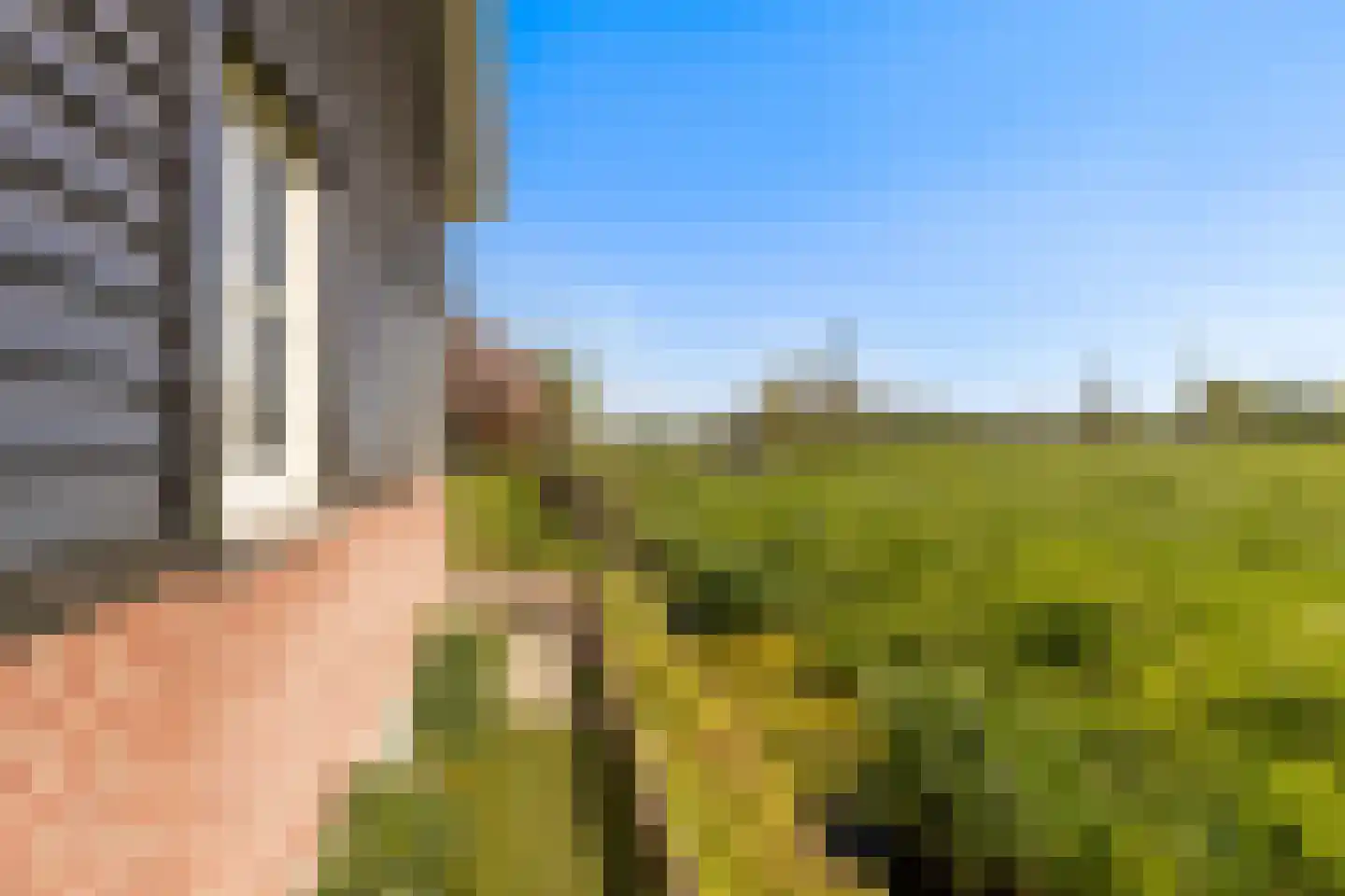 Achterbroek 3 Berkenwoude thumbnail 31