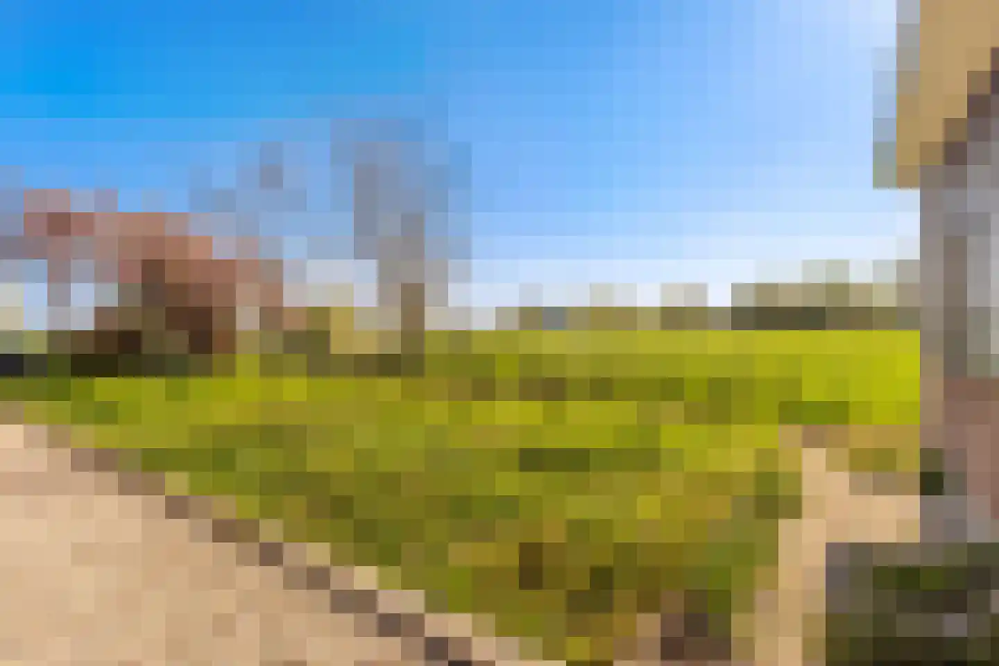 Achterbroek 3 Berkenwoude thumbnail 33