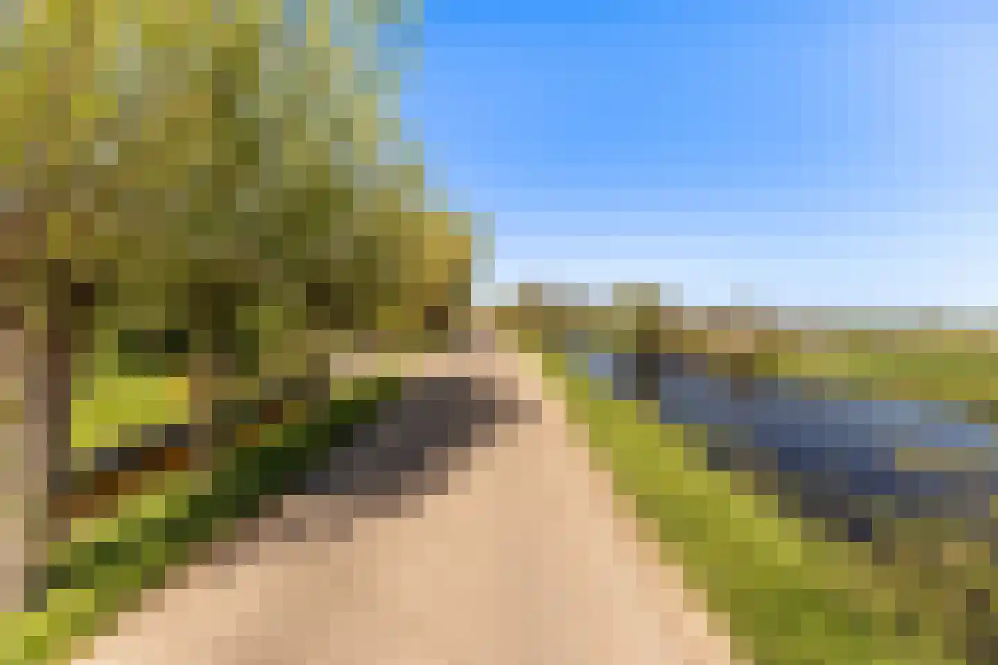 Achterbroek 3 Berkenwoude thumbnail 36