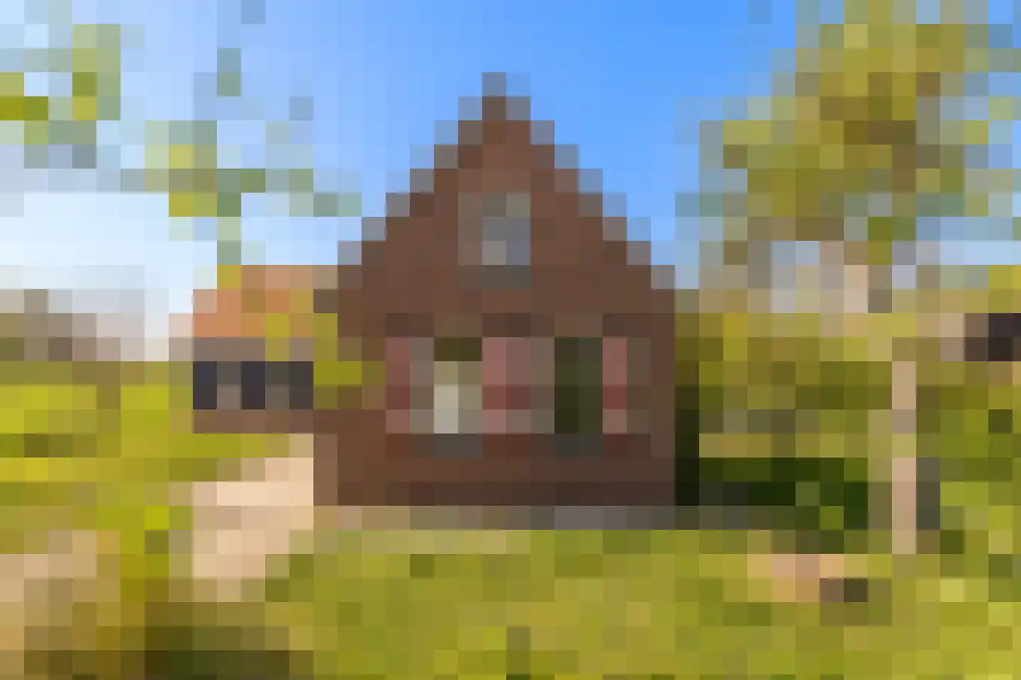 Achterbroek 3 Berkenwoude thumbnail 4
