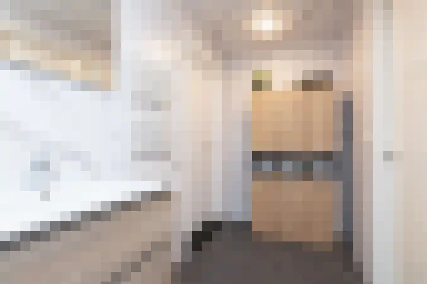 Achterbuorren 13 Scharnegoutum thumbnail 18