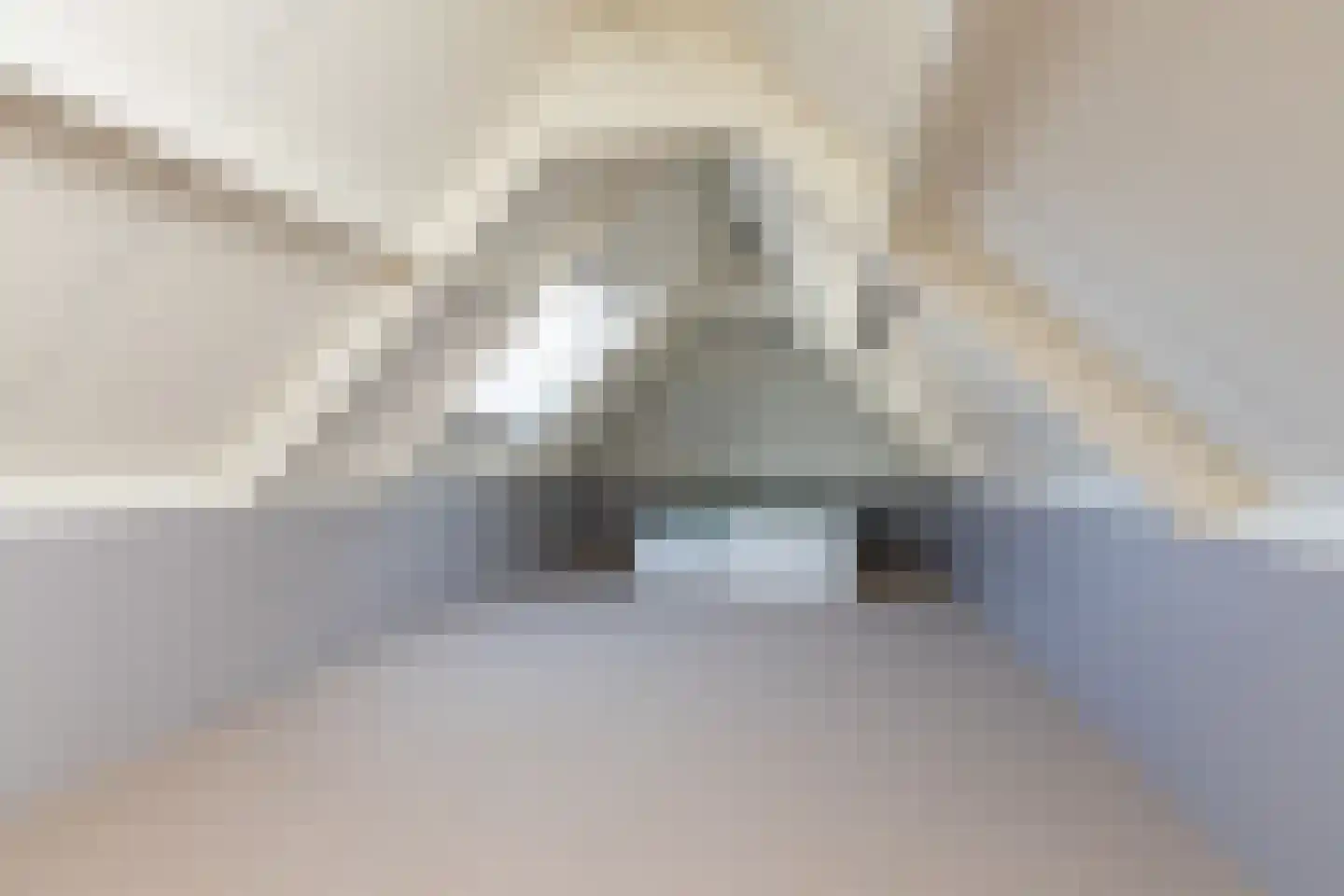Achterbuorren 13 Scharnegoutum thumbnail 28