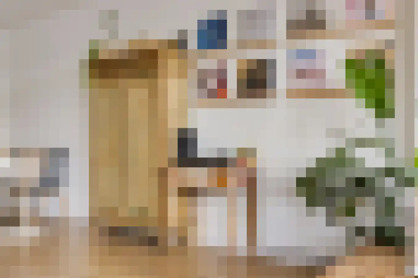Achterbuorren 7 A Scharnegoutum thumbnail 16
