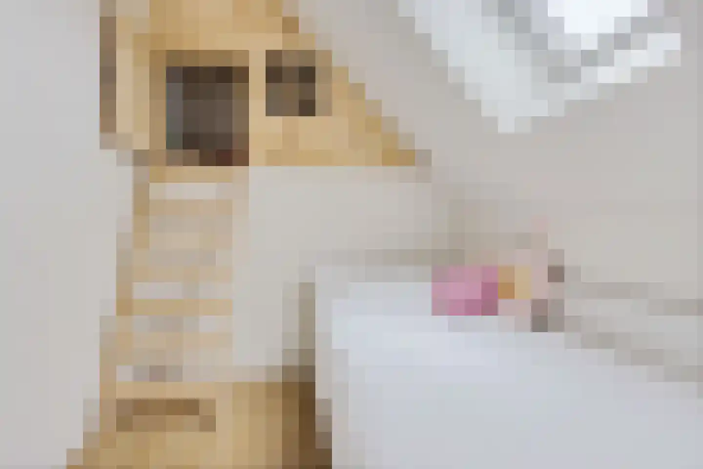 Achterbuorren 7 A Scharnegoutum thumbnail 42