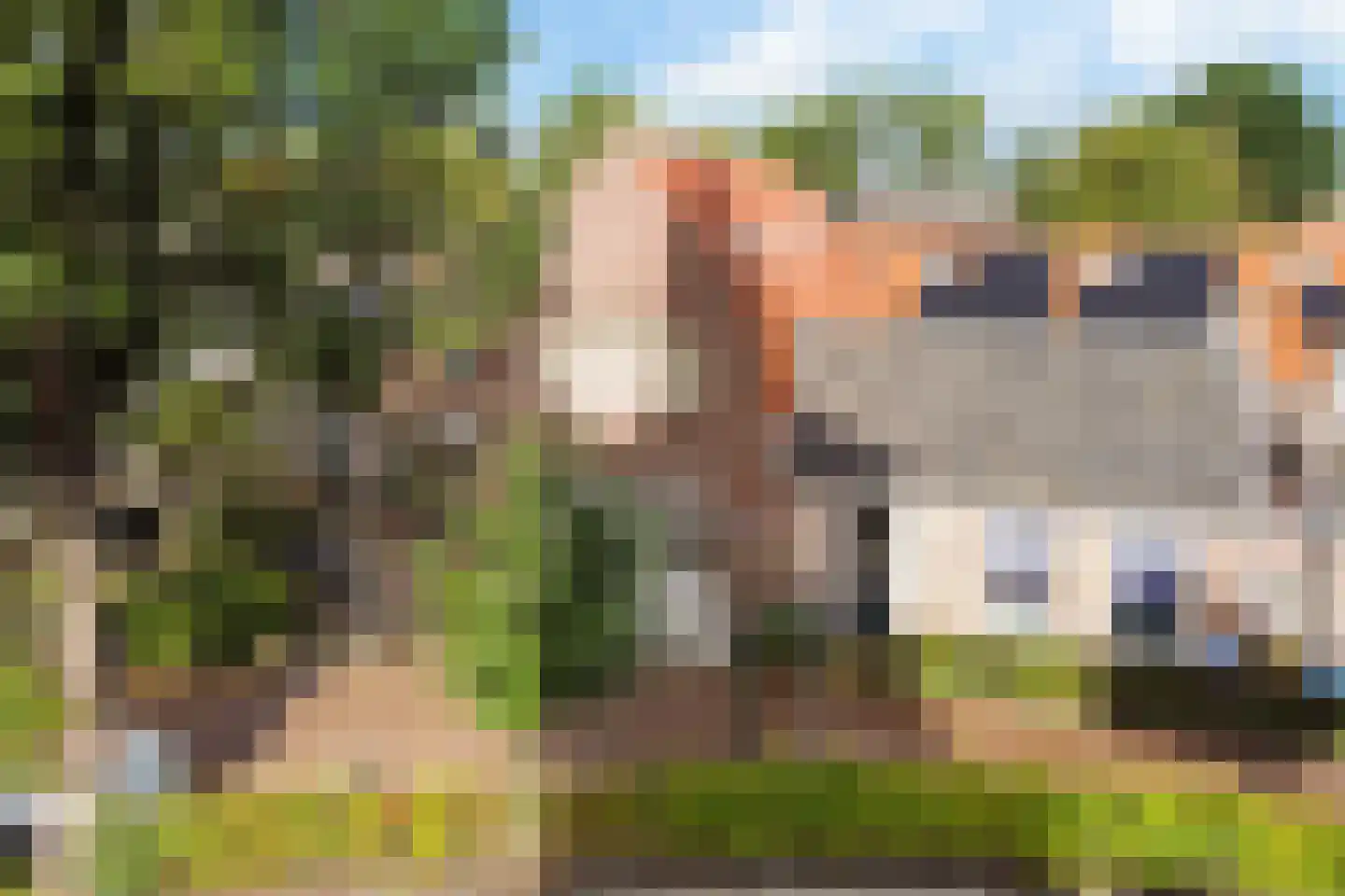 Achterbuorren 7 A Scharnegoutum thumbnail 46