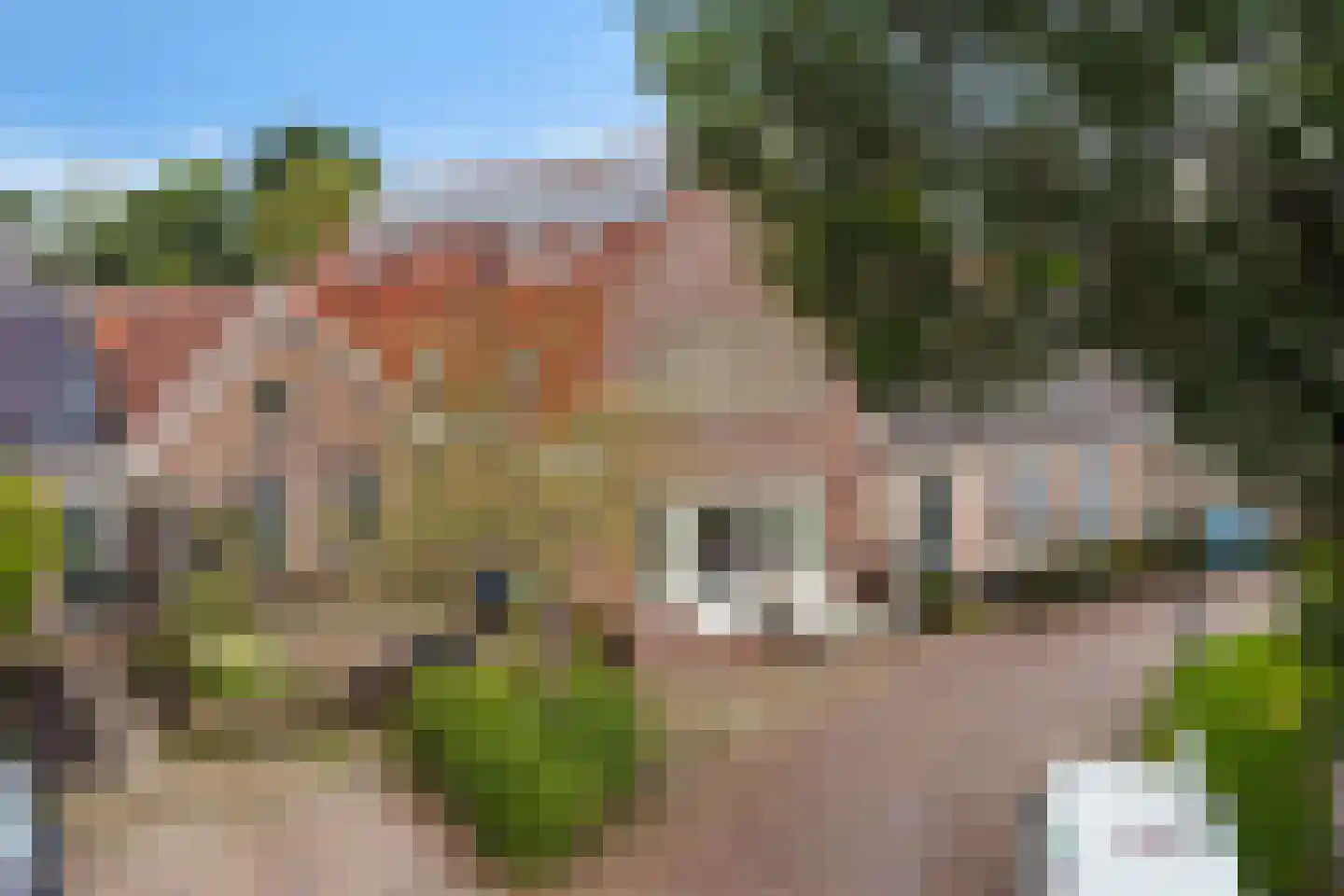 Achterbuorren 7 A Scharnegoutum thumbnail 49