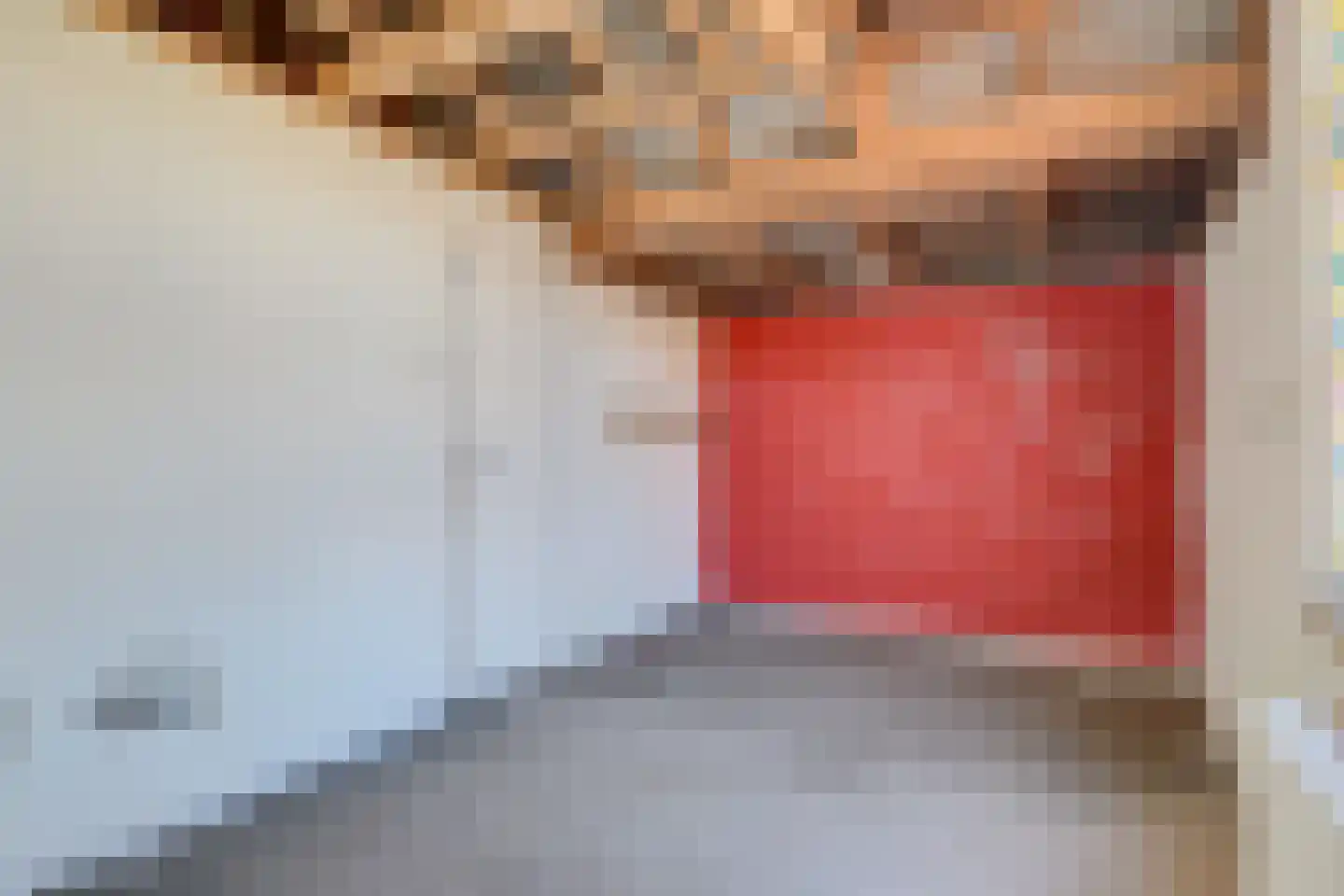 Achterdam 8 Alkmaar thumbnail 17