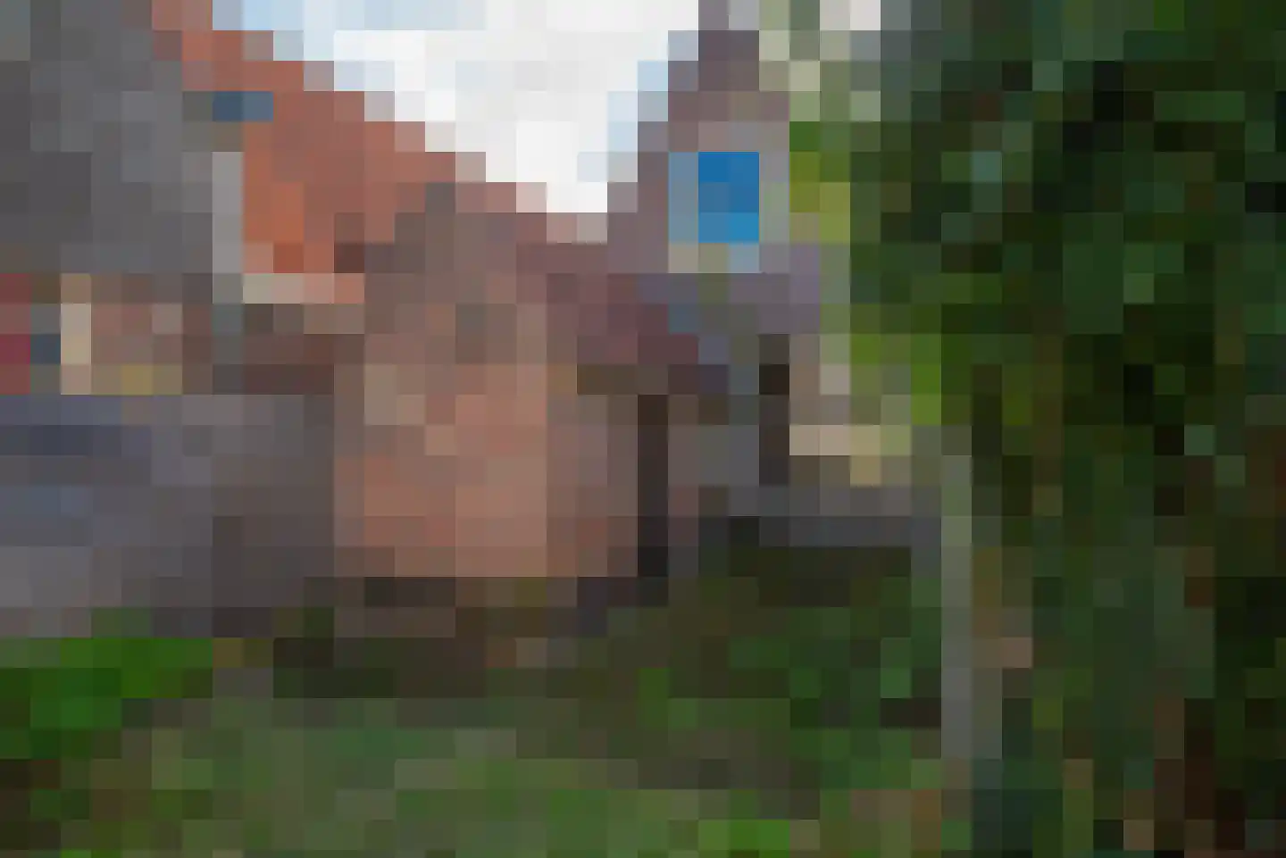 Achterdam 8 Alkmaar thumbnail 19