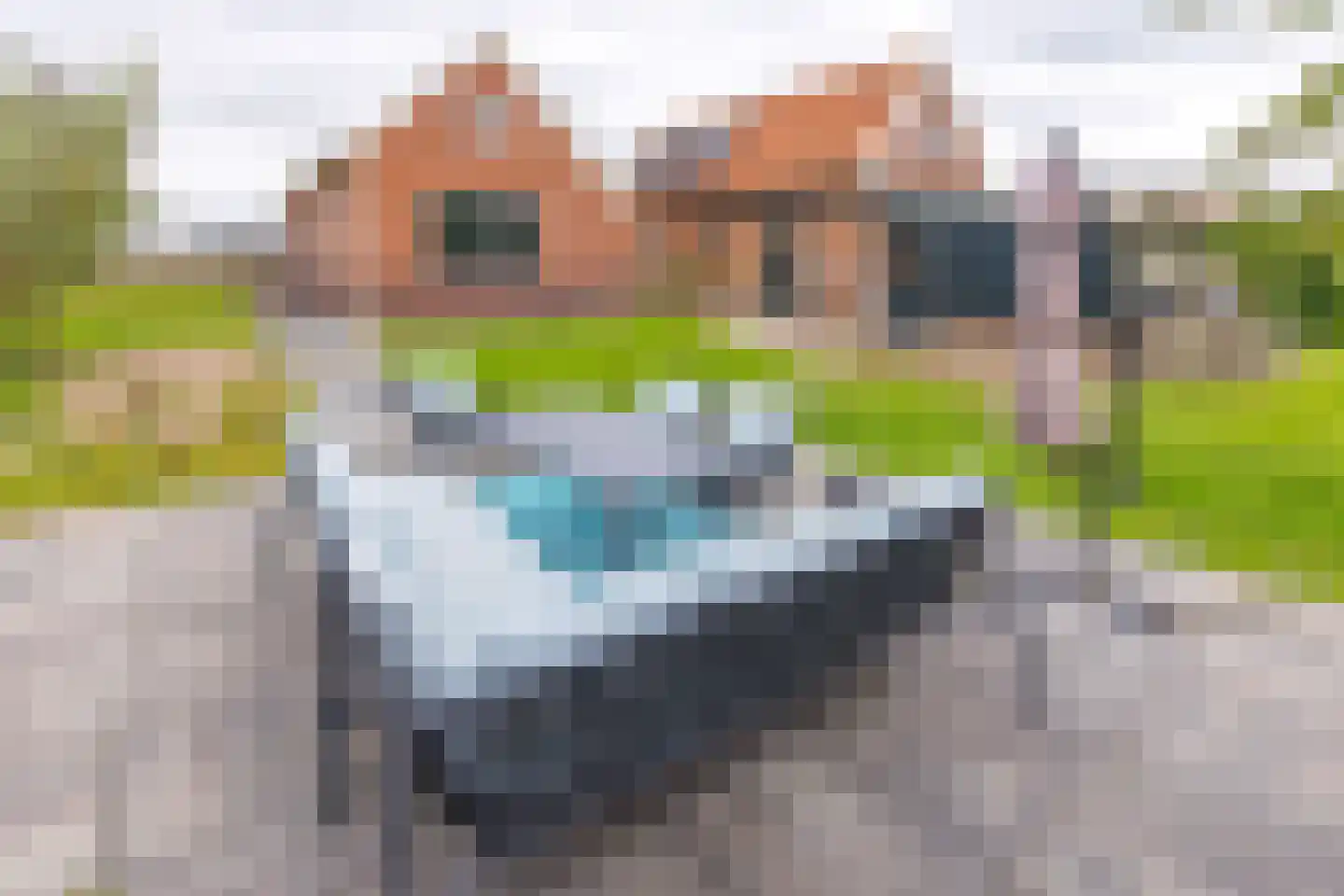 Achterdiep 39 Nieuw-Weerdinge thumbnail 30