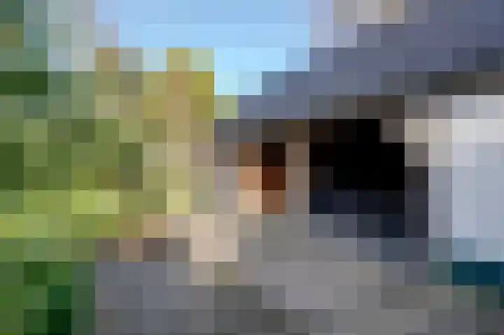 Achterdiep Noordzijde 21 Sappemeer thumbnail 13