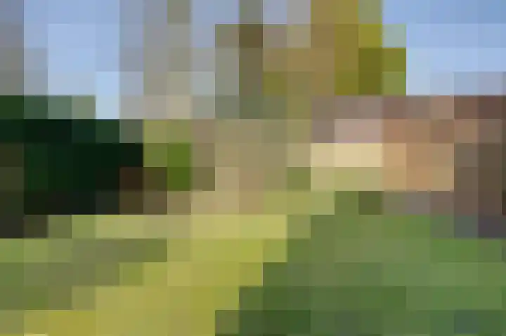 Achterdiep Noordzijde 21 Sappemeer thumbnail 14