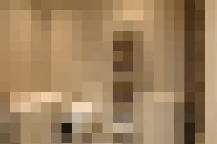 Achterdiep Noordzijde 21 Sappemeer thumbnail 32