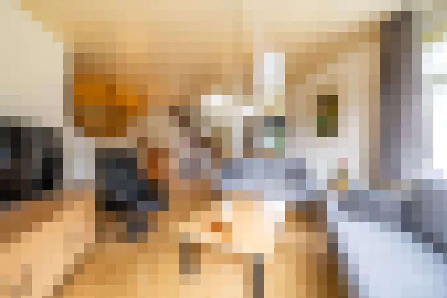 Achterdiep Noordzijde 30 Sappemeer thumbnail 15