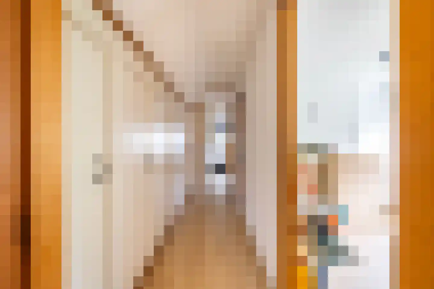 Achterdiep Noordzijde 30 Sappemeer thumbnail 29