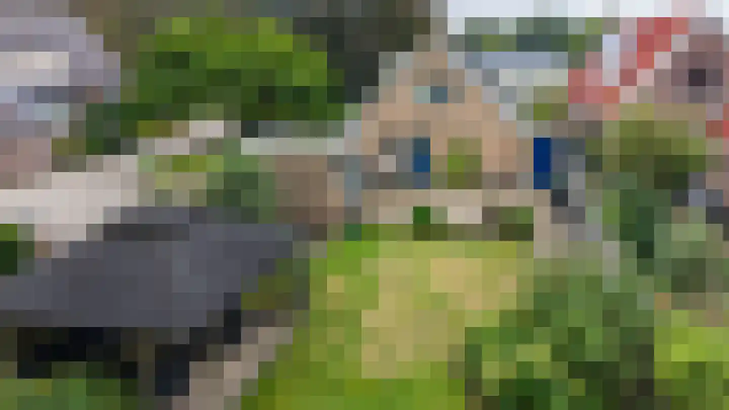 Achterdiep Noordzijde 30 Sappemeer thumbnail 39