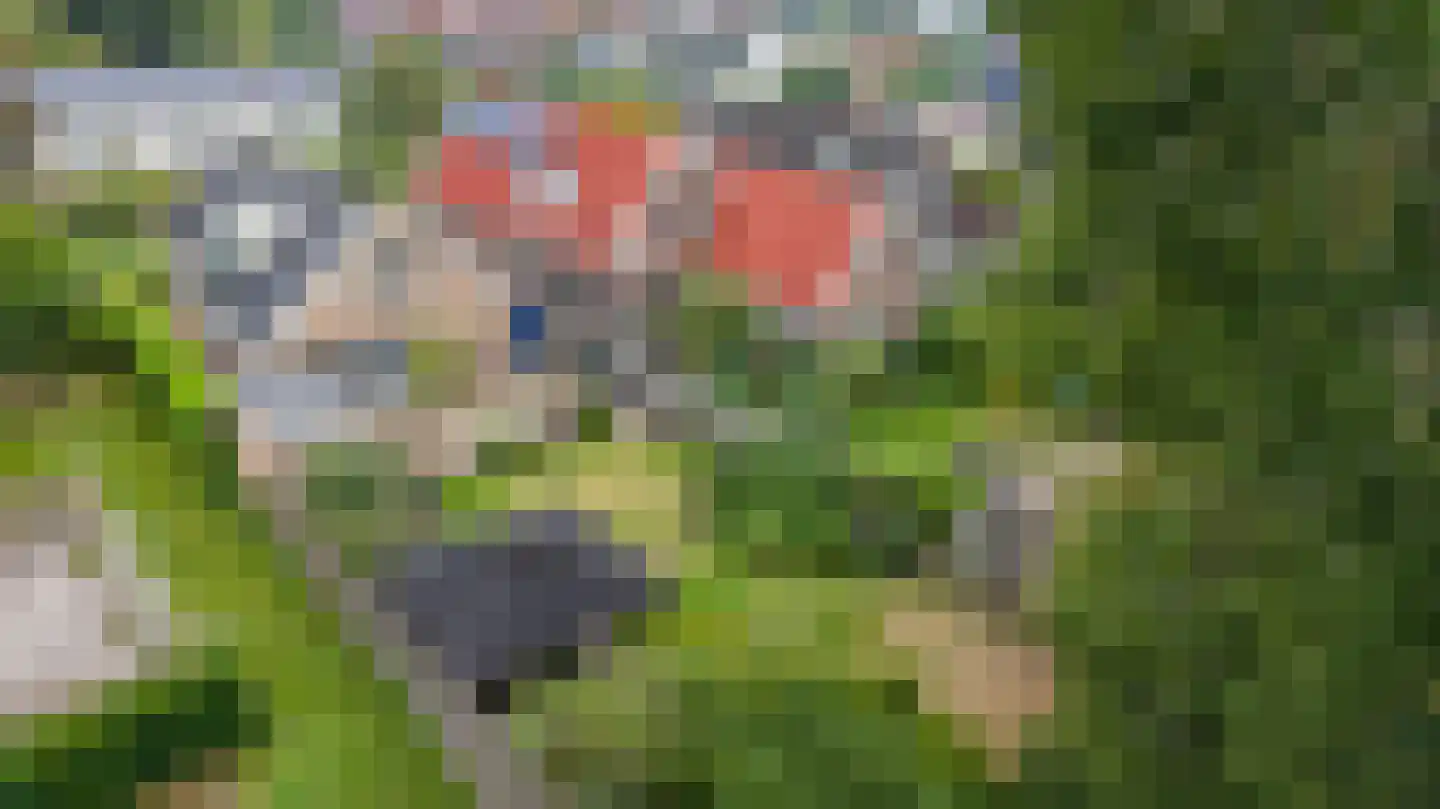 Achterdiep Noordzijde 30 Sappemeer thumbnail 41