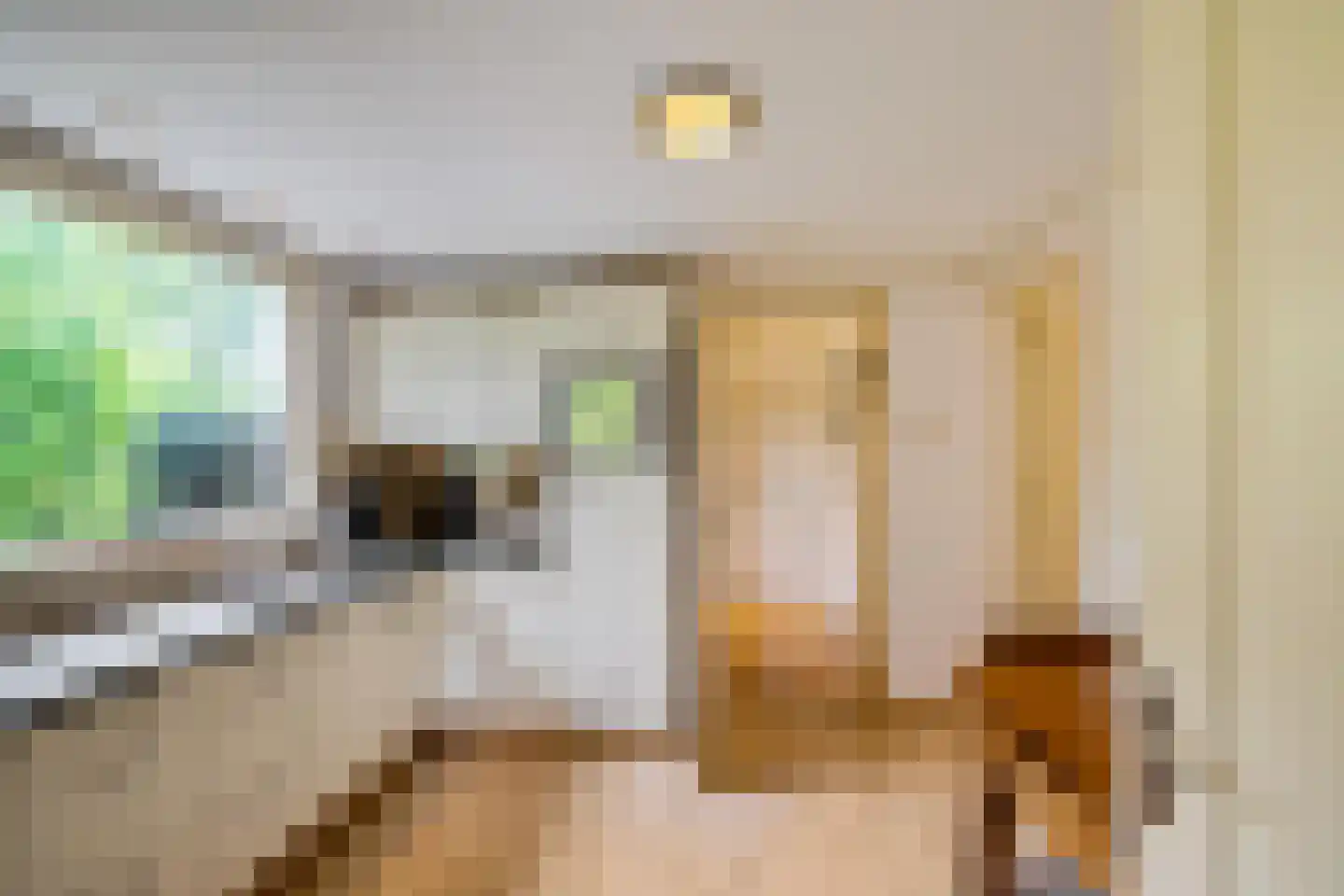 Achterdiep Noordzijde 37 Sappemeer thumbnail 14