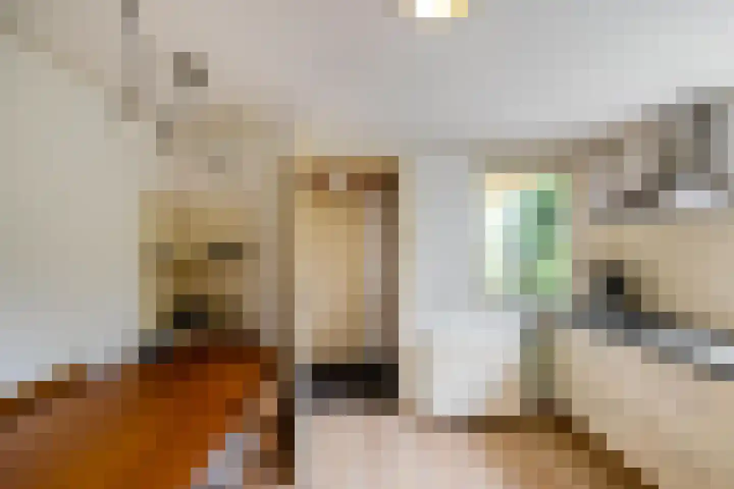 Achterdiep Noordzijde 37 Sappemeer thumbnail 16