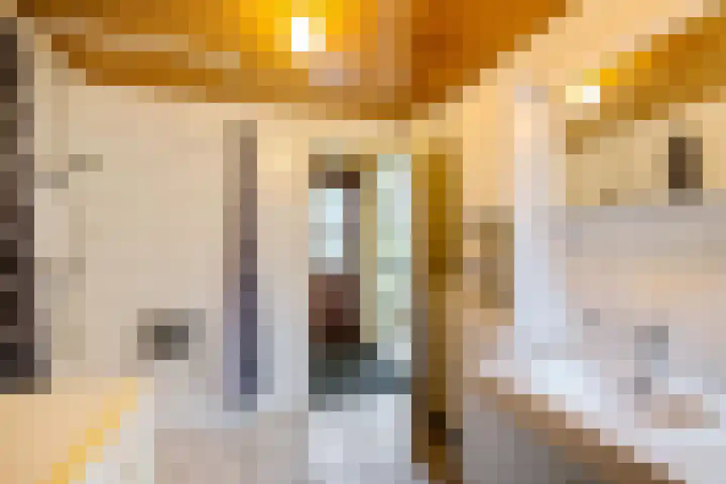 Achterdiep Noordzijde 37 Sappemeer thumbnail 20
