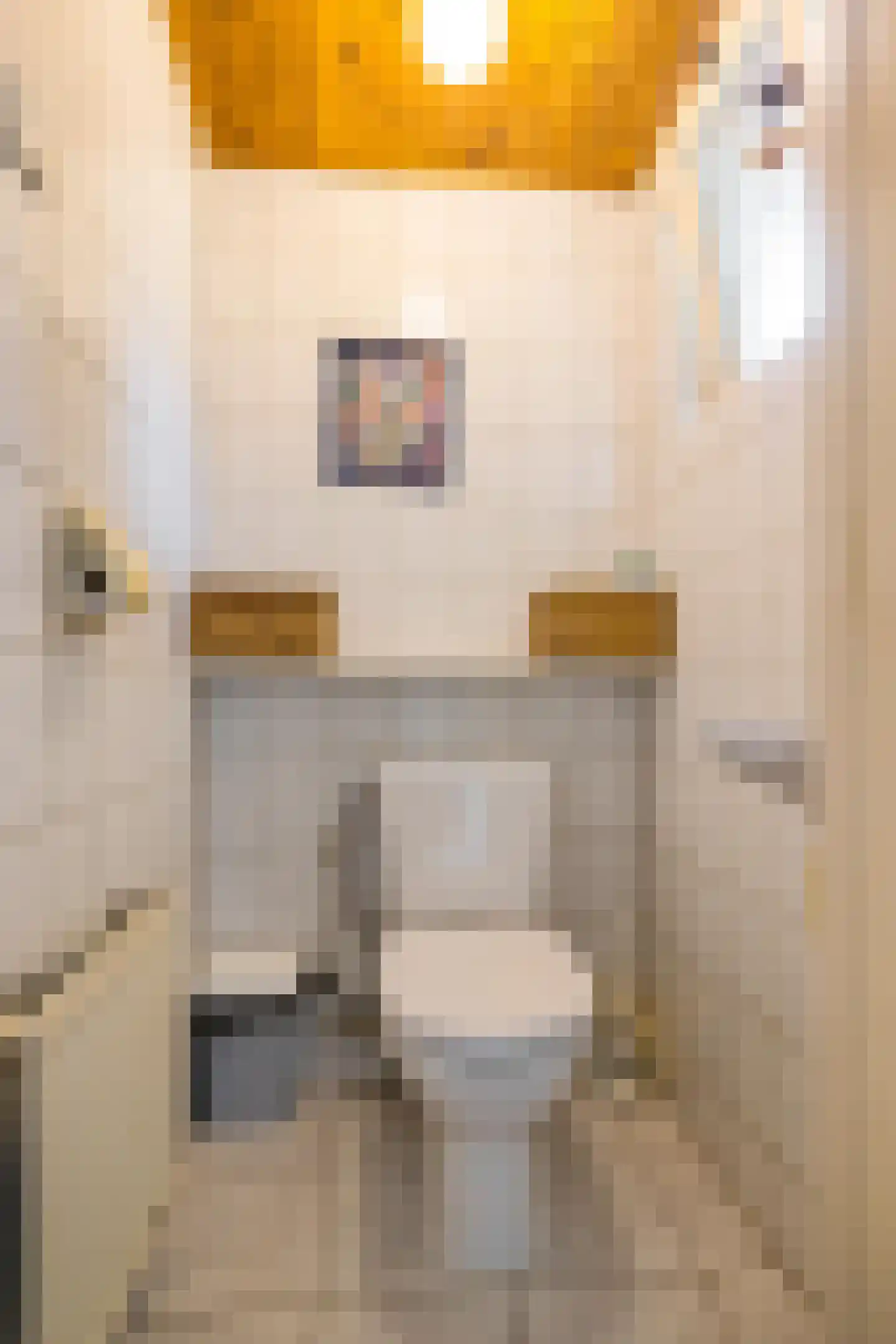 Achterdiep Noordzijde 37 Sappemeer thumbnail 21