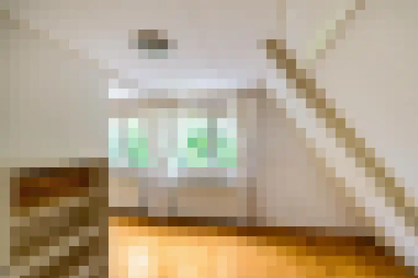 Achterdiep Noordzijde 37 Sappemeer thumbnail 24
