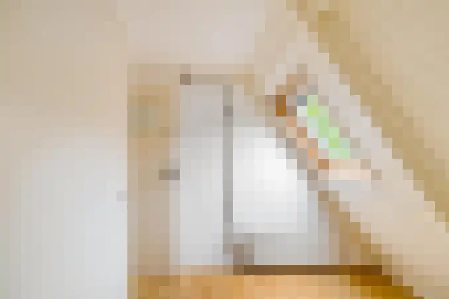 Achterdiep Noordzijde 37 Sappemeer thumbnail 29