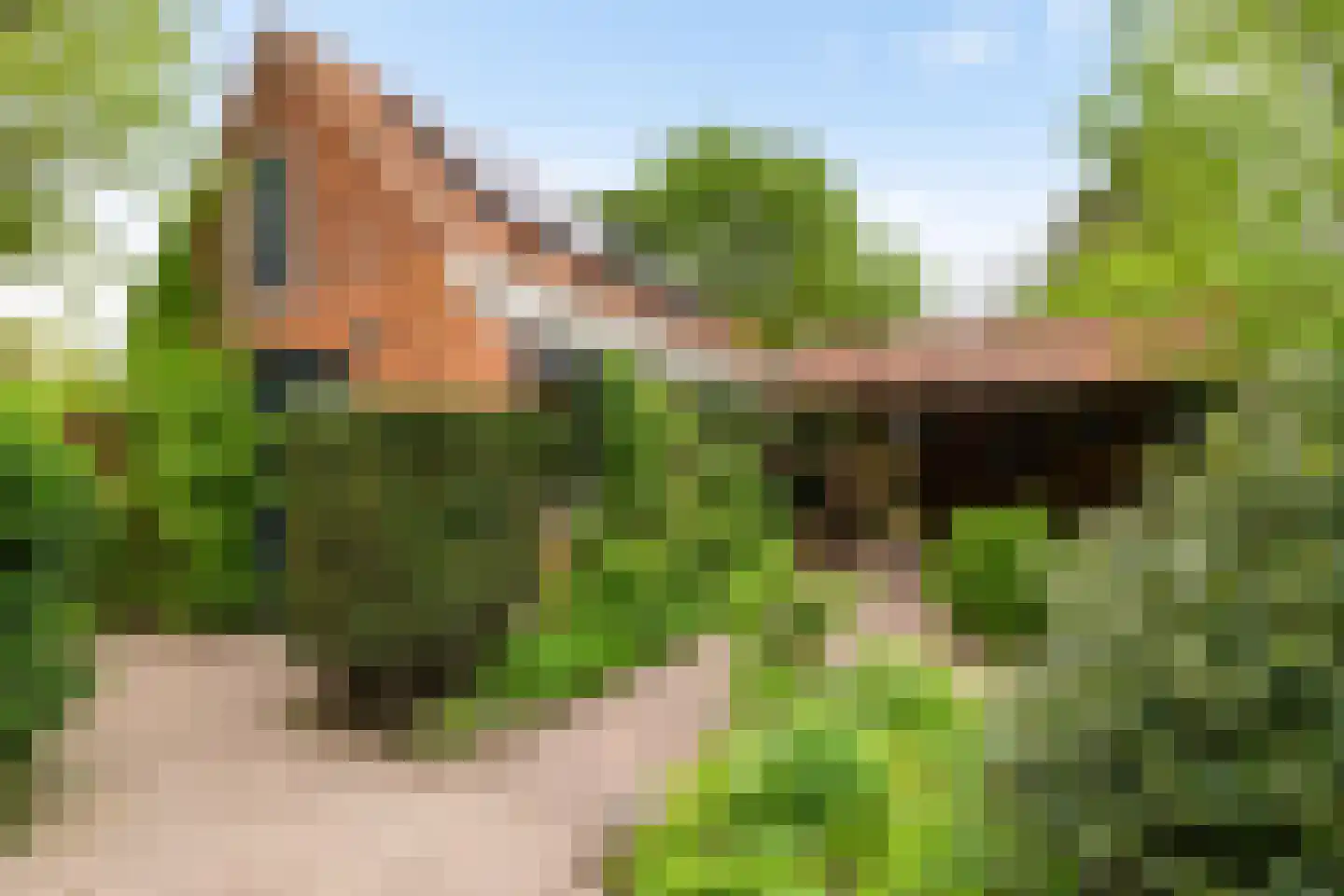 Achterdiep Noordzijde 37 Sappemeer thumbnail 32