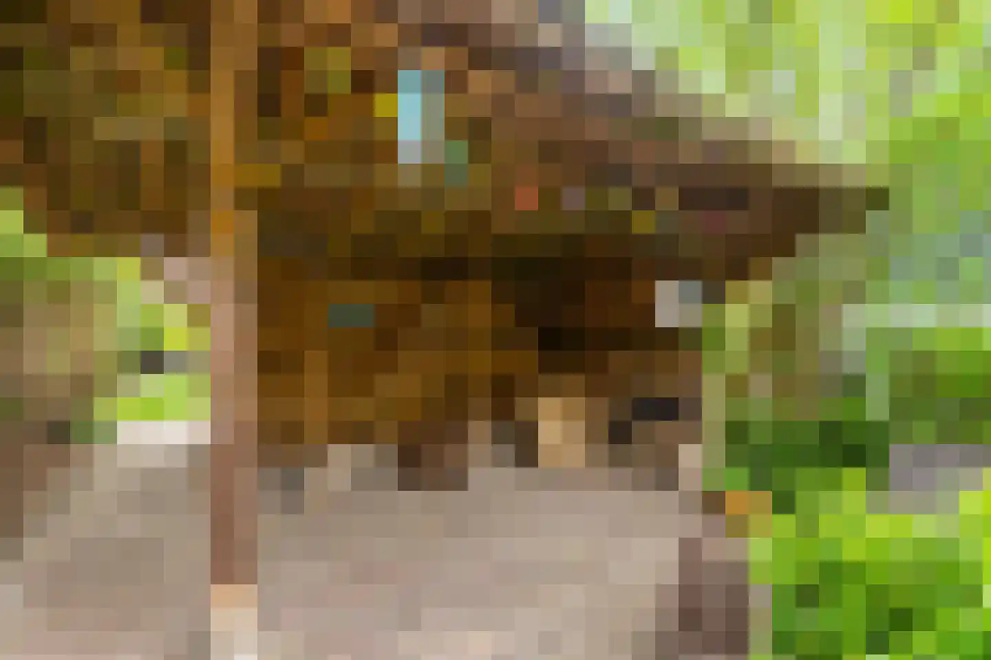 Achterdiep Noordzijde 37 Sappemeer thumbnail 34