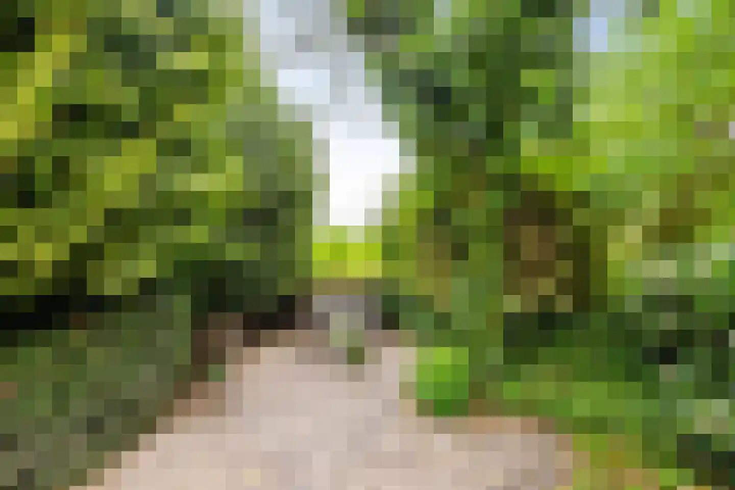 Achterdiep Noordzijde 37 Sappemeer thumbnail 36