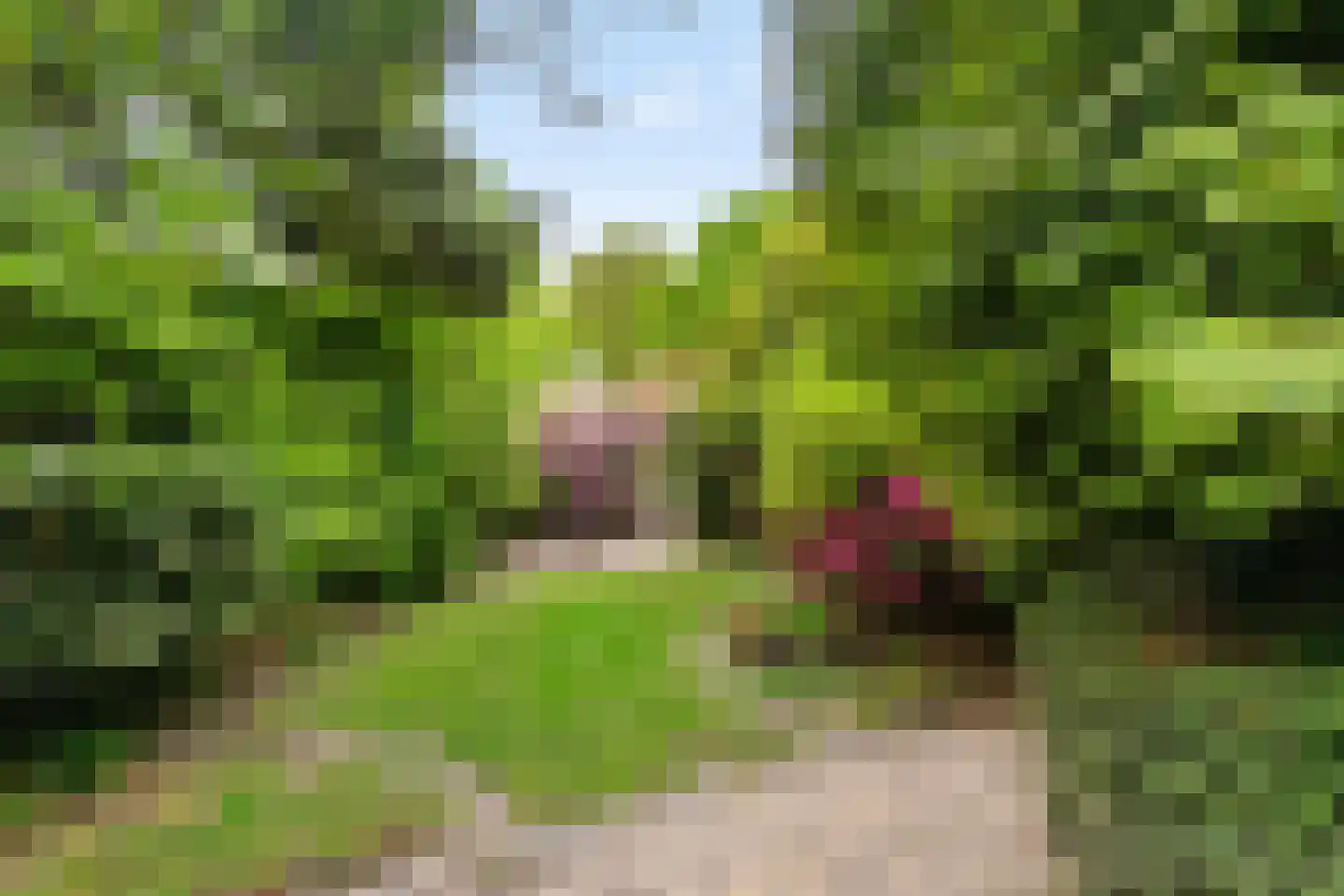 Achterdiep Noordzijde 37 Sappemeer thumbnail 37