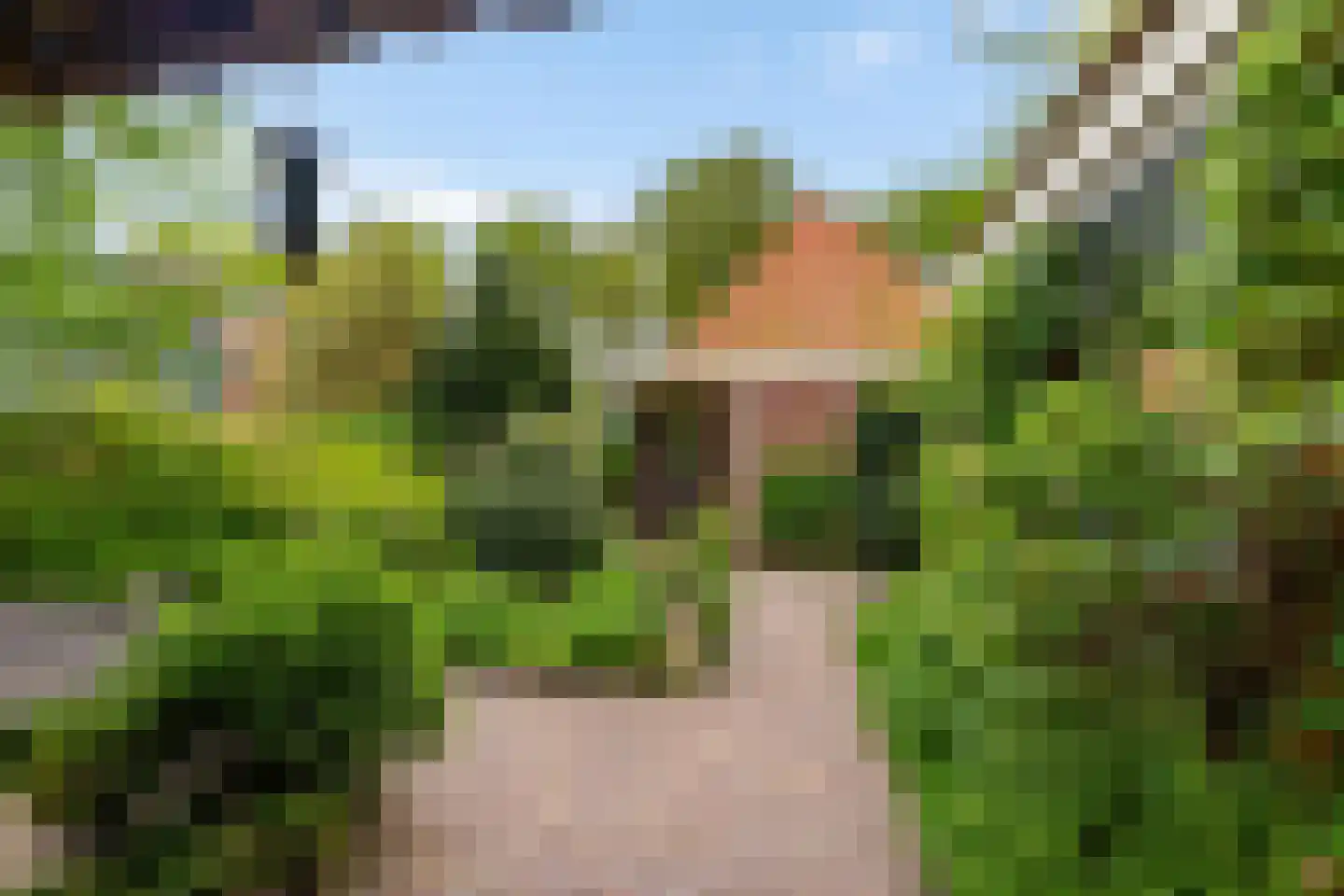 Achterdiep Noordzijde 37 Sappemeer thumbnail 38