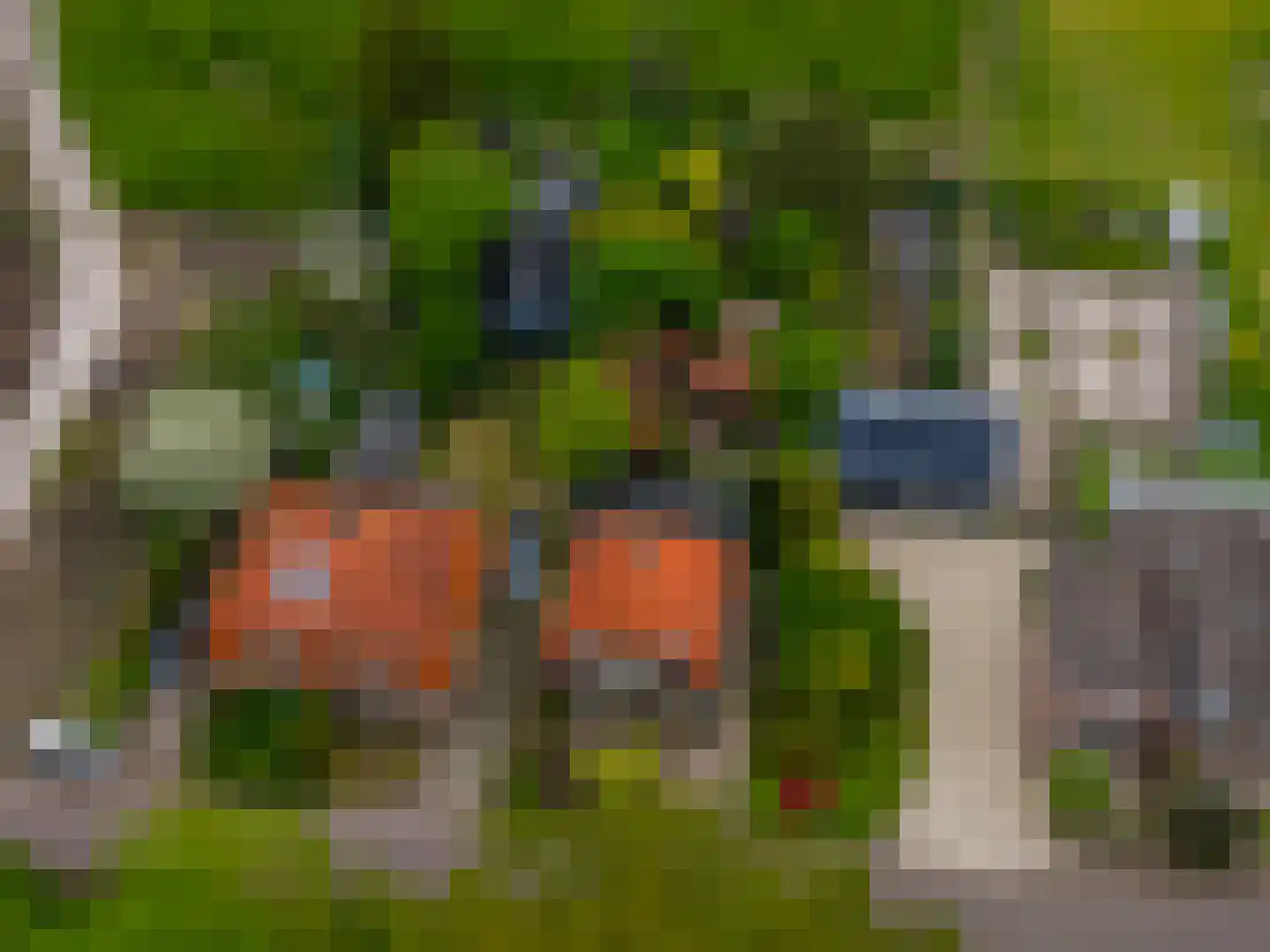 Achterdiep Noordzijde 37 Sappemeer thumbnail 40