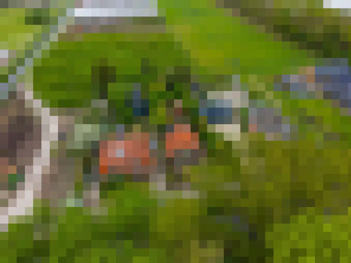 Achterdiep Noordzijde 37 Sappemeer thumbnail 41