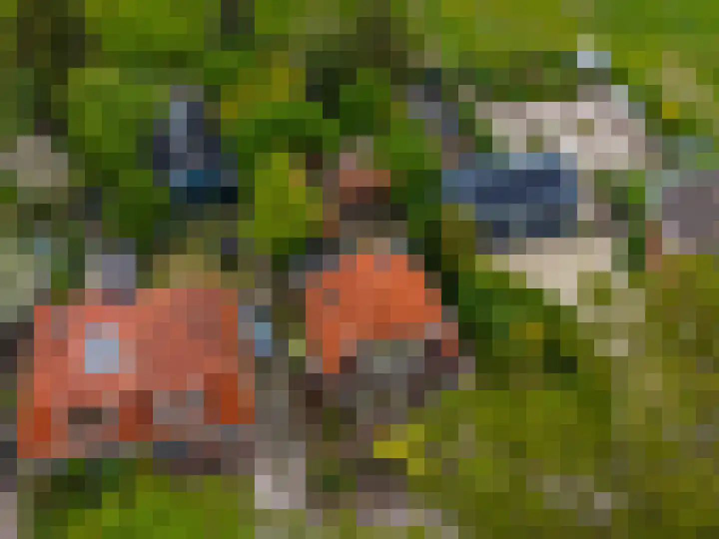Achterdiep Noordzijde 37 Sappemeer thumbnail 42