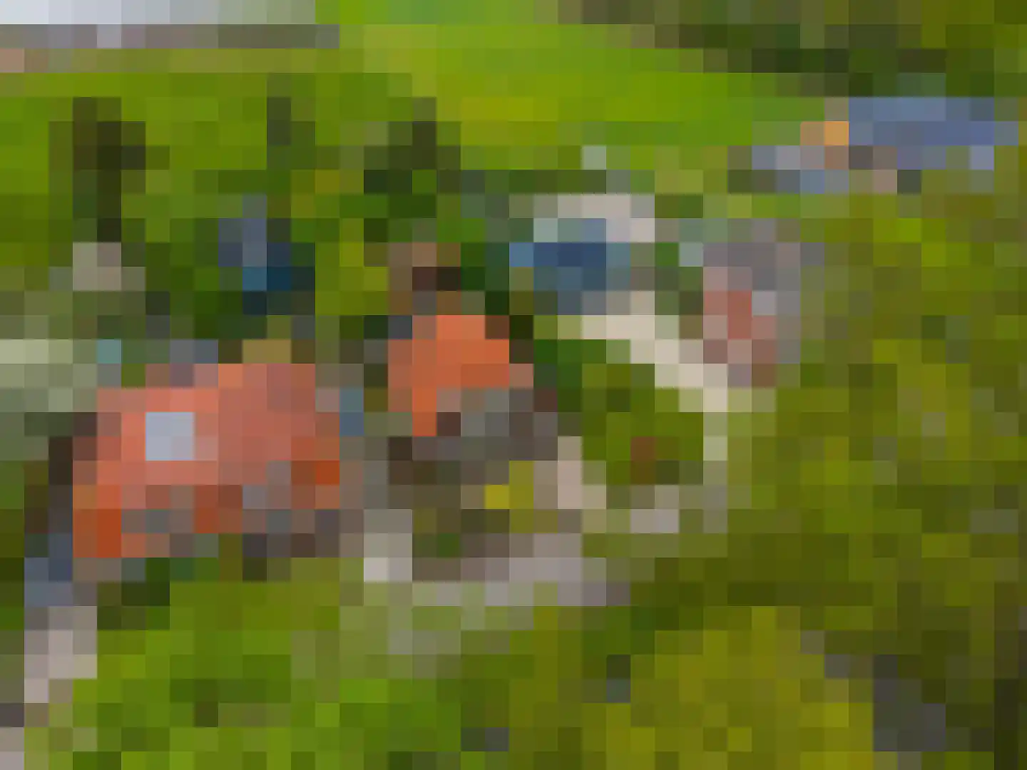 Achterdiep Noordzijde 37 Sappemeer thumbnail 43