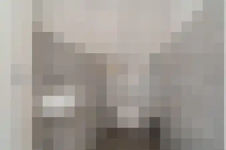 Achterdiep Noordzijde 48 Sappemeer thumbnail 25