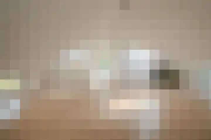 Achterdiep Noordzijde 48 Sappemeer thumbnail 28