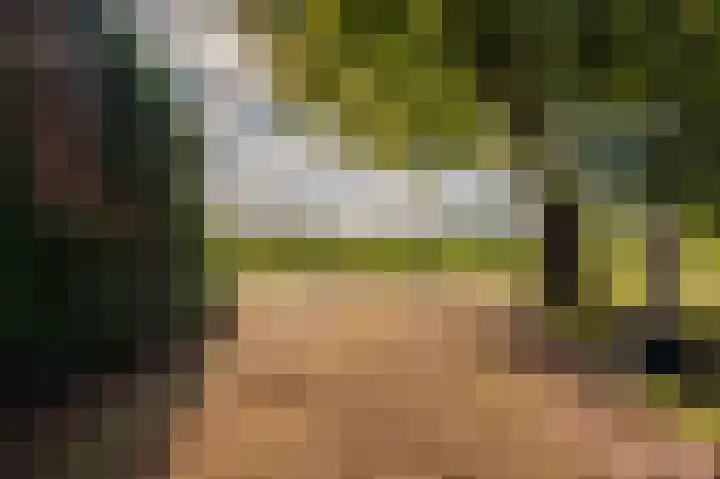 Achterdiep Noordzijde 48 Sappemeer thumbnail 36