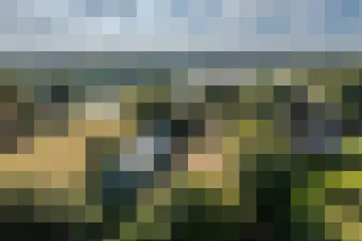 Achterdiep Noordzijde 48 Sappemeer thumbnail 38