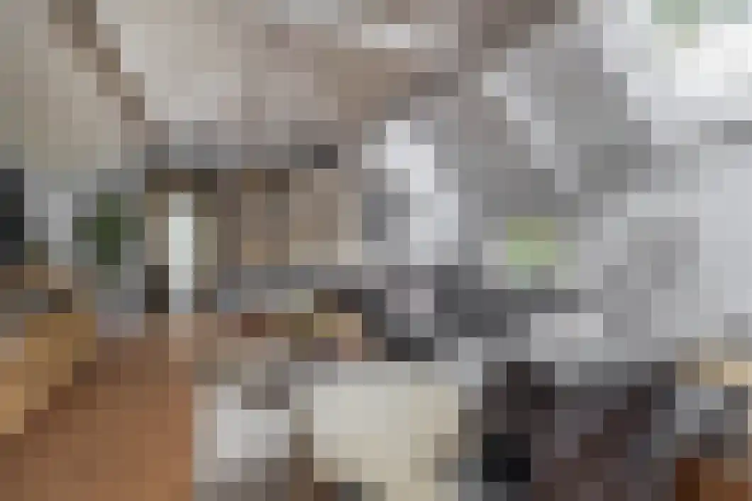 Achterdiep Zuidzijde 5 Sappemeer thumbnail 14