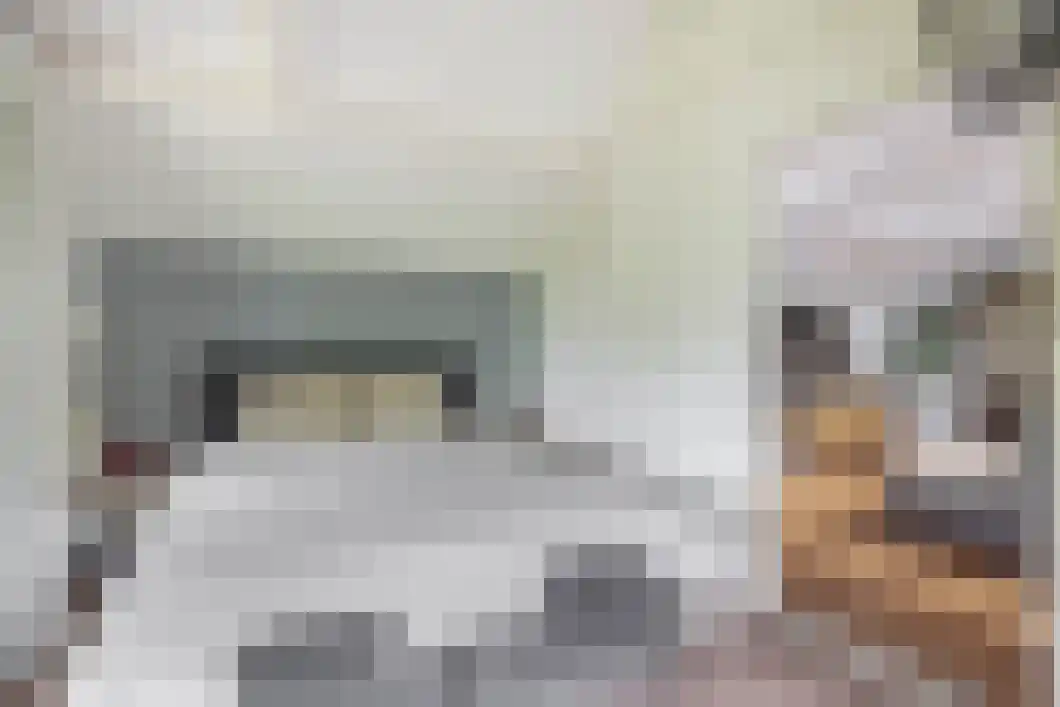 Achterdiep Zuidzijde 5 Sappemeer thumbnail 21